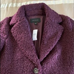 Beautiful New Ann Taylor Teddy Coat!